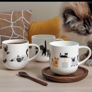 Mug Surprised Cats  40 cL