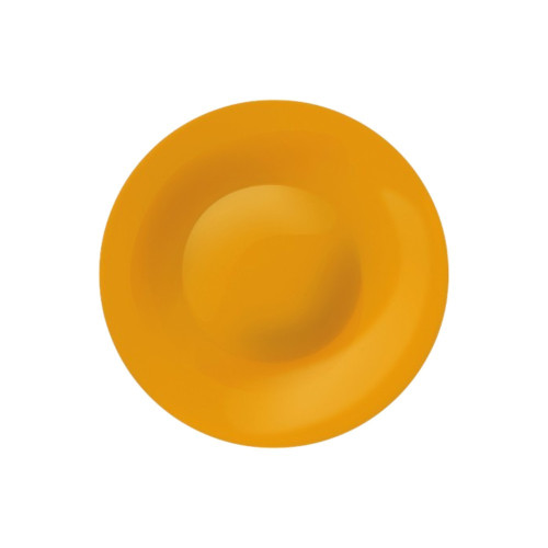 Lot de 6 assiettes creuses Tone Orange - D 22.5 cm